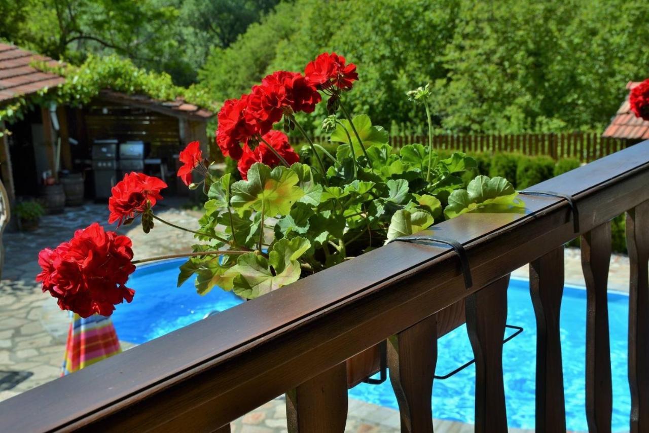 Къща Край Реката/ House By The River Vetrintsi 外观 照片